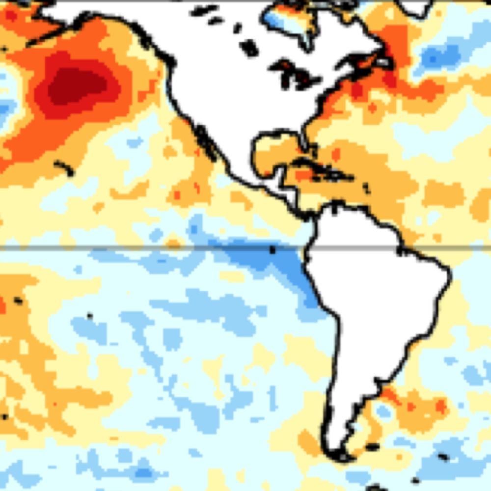 ENSO Outlook